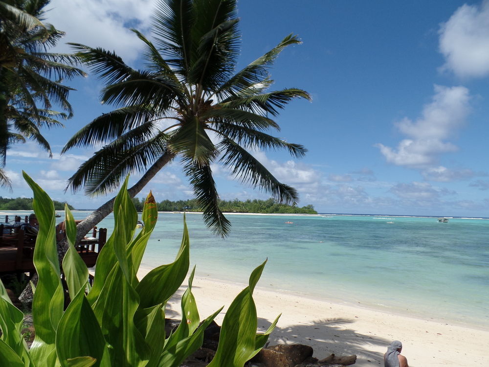 Muri Beachcomber Rarotonga Exterior foto